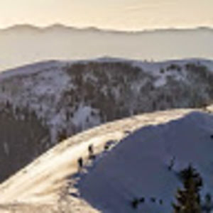 Meet your Posher, Jerome